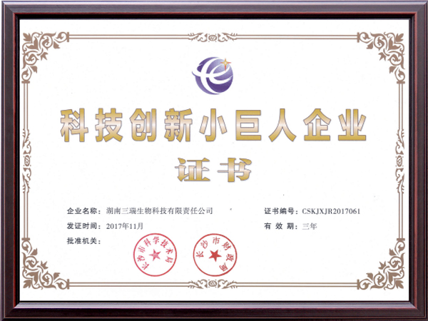 科技創(chuàng)新小巨人
